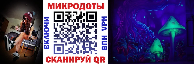 Купить закладки Куртамыш Псилоцибиновые грибы мицелий
